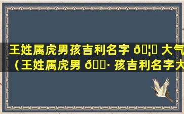 王姓属虎男孩吉利名字 🦉 大气（王姓属虎男 🌷 孩吉利名字大气两个字）